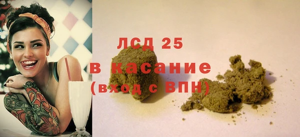 крисы Алзамай