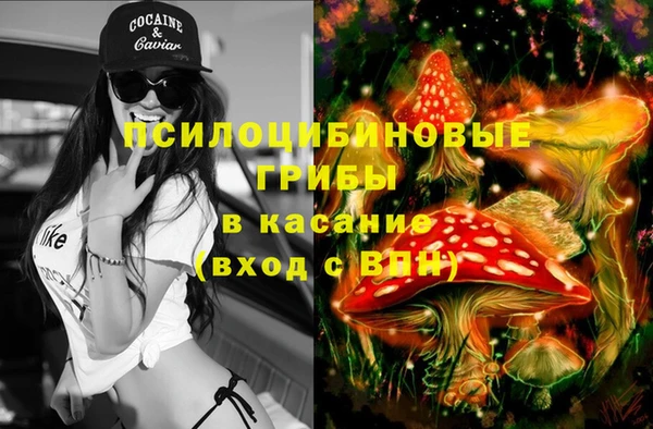 крисы Алзамай